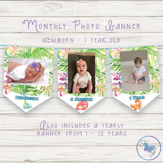 12 month dinosaur banner Dinosaur first year photo banner