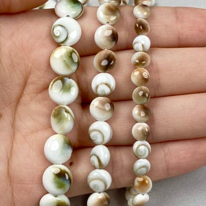 Single Shiva Shell Round Bead Shiva Shell Bead 16 Beaded Strand Shiva Shell Beads Natural Round Shell Beads Gemstone Bead image 2