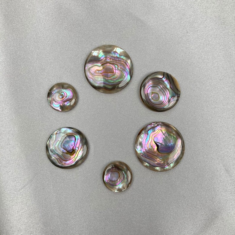 12pc Abalone Round Cabochon Shell Abalone Abalone Bead - Etsy