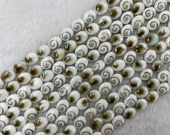 Einzelne Shiva Muschel Oval Perle - Shiva Muschel Perle - Oval Shiva Muschel - Natürliche Oval Muschel Perlen - Muschel Perle - Muschel Perlen Schmuck