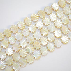 Pode incluir: Close-up de uma coleção de contas iridescentes em forma de concha. As contas são de cor branco creme com um brilho perolado subtil. As contas estão dispostas em filas, criando um padrão texturizado.