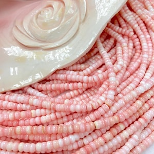 16&quot; inches - Rondelle Beads - Queen Conch Shell Beads - 16&quot; Beaded Strand - Pink Beads - Pink Rondelle - Jewelry Beads