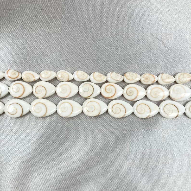 Single Shiva Shell Drop Bead - Shiva Shell Bead - Shiva Shell - Natural ...