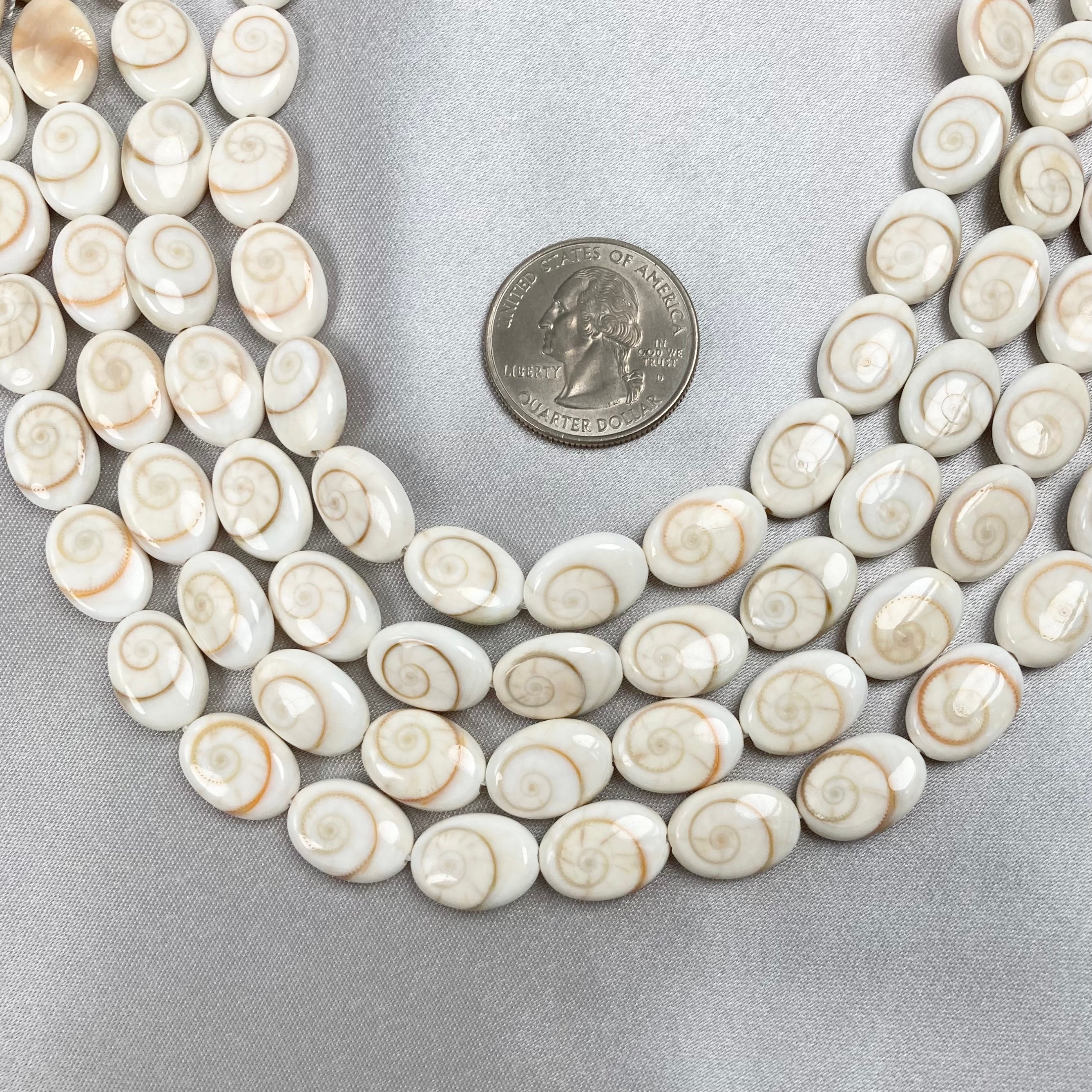 Shiva Shell Small Single Shiva Shell Oval Bead - Shiva Shell Bead - Oval Shiva Shell ...
