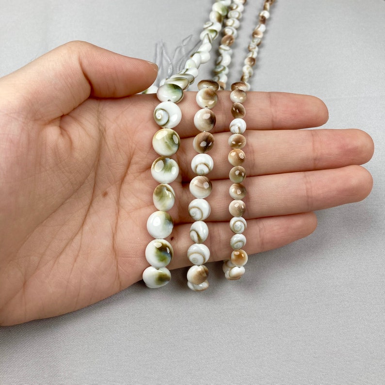 Single Shiva Shell Round Bead Shiva Shell Bead 16 Beaded Strand Shiva Shell Beads Natural Round Shell Beads Gemstone Bead image 2