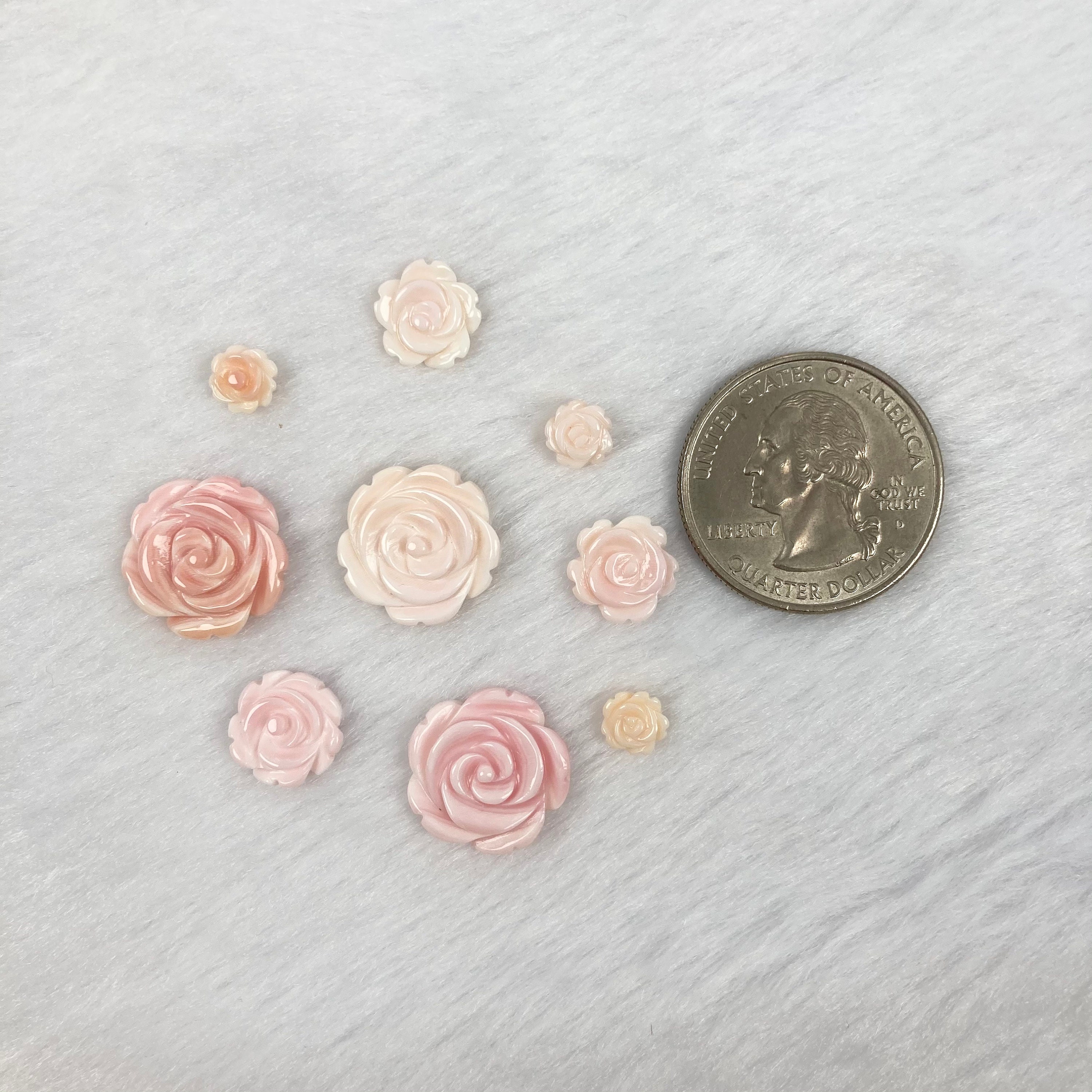 12pc Reina Concha concha tallada rosa pieza suelta concha de - Etsy España