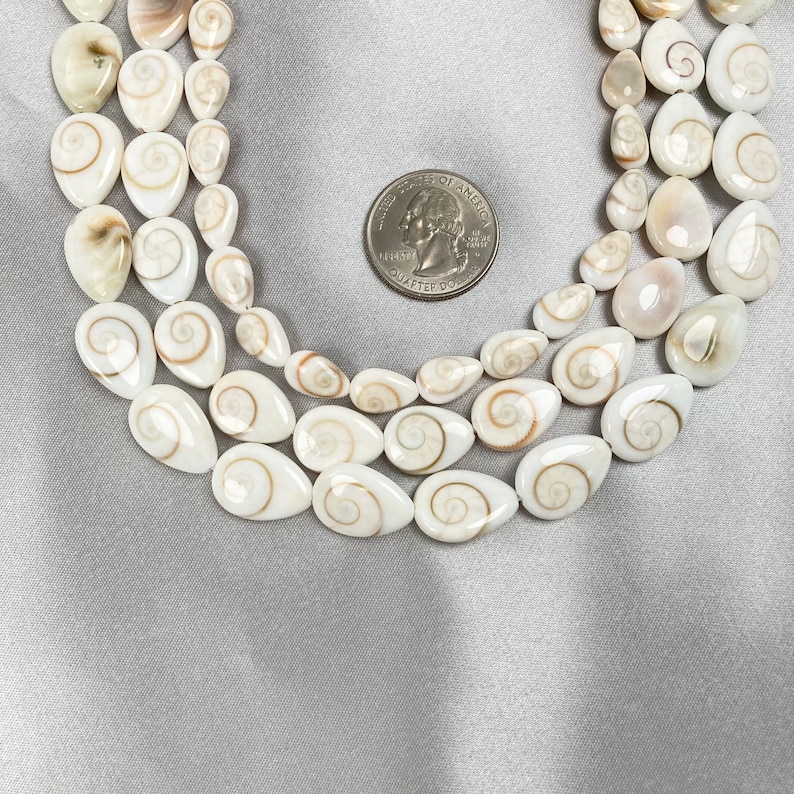 Single Shiva Shell Drop Bead Shiva Shell Bead Shiva Shell Natural Drop Shell Beads Shell Bead Etsy