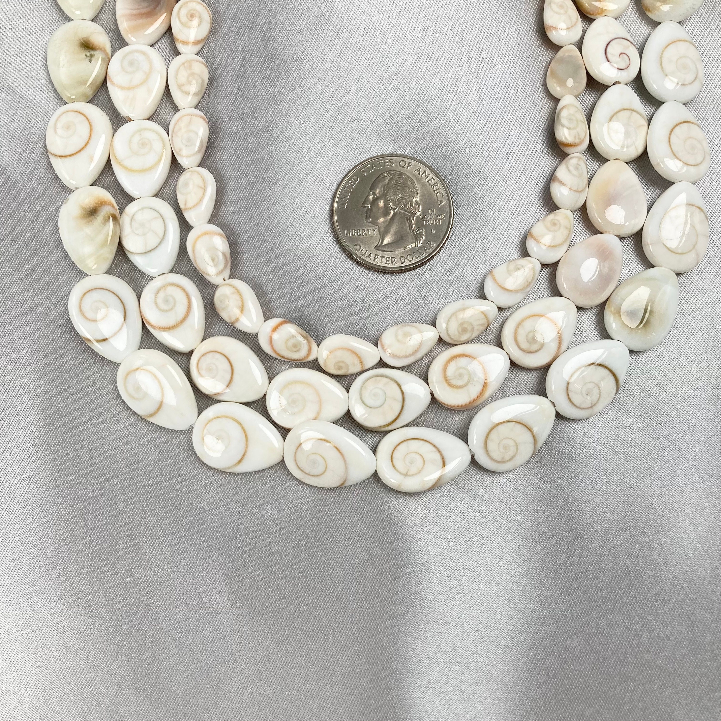 Shiva Shell Small Single Shiva Shell Drop Bead - Shiva Shell Bead - Shiva Shell - Natural ...