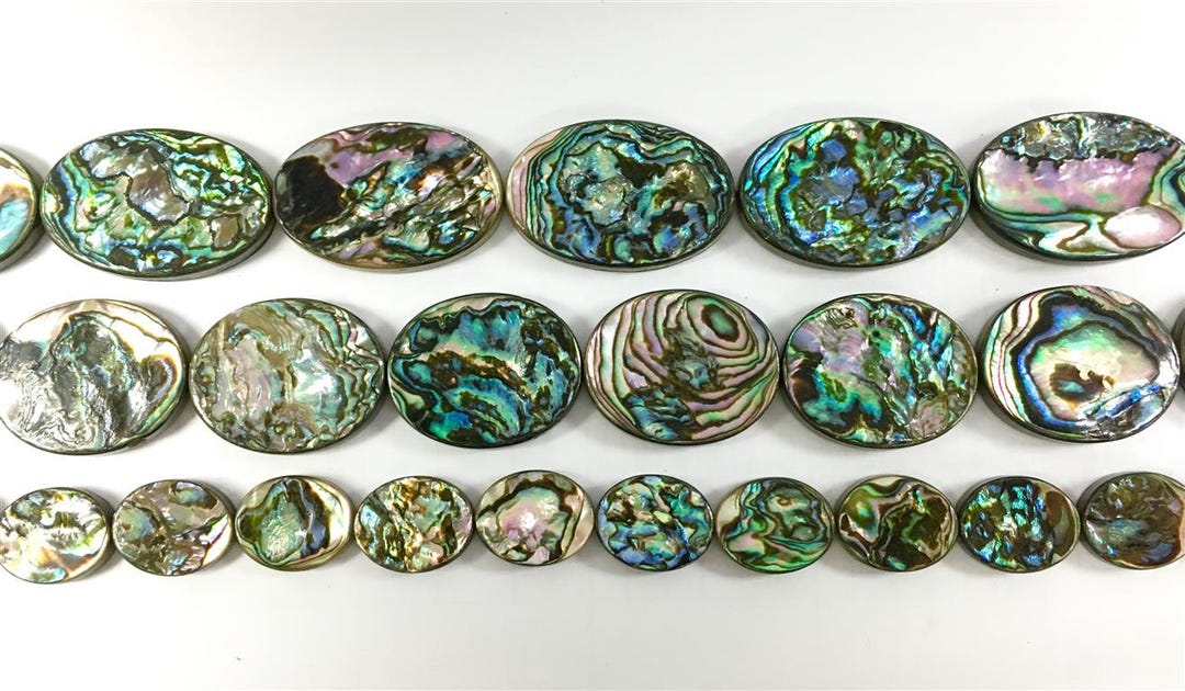 16" Abalone Shell Oval Beads – Natural Sea Shell Beads - Assorted Sizes ...