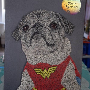 Può includere: Arte di filo di un carlino che indossa un costume rosso di Wonder Woman con una stella gialla sul petto. L'opera è su uno sfondo grigio con un cerchio bianco in alto a destra che dice "String Art by Olesia Kyriacon".