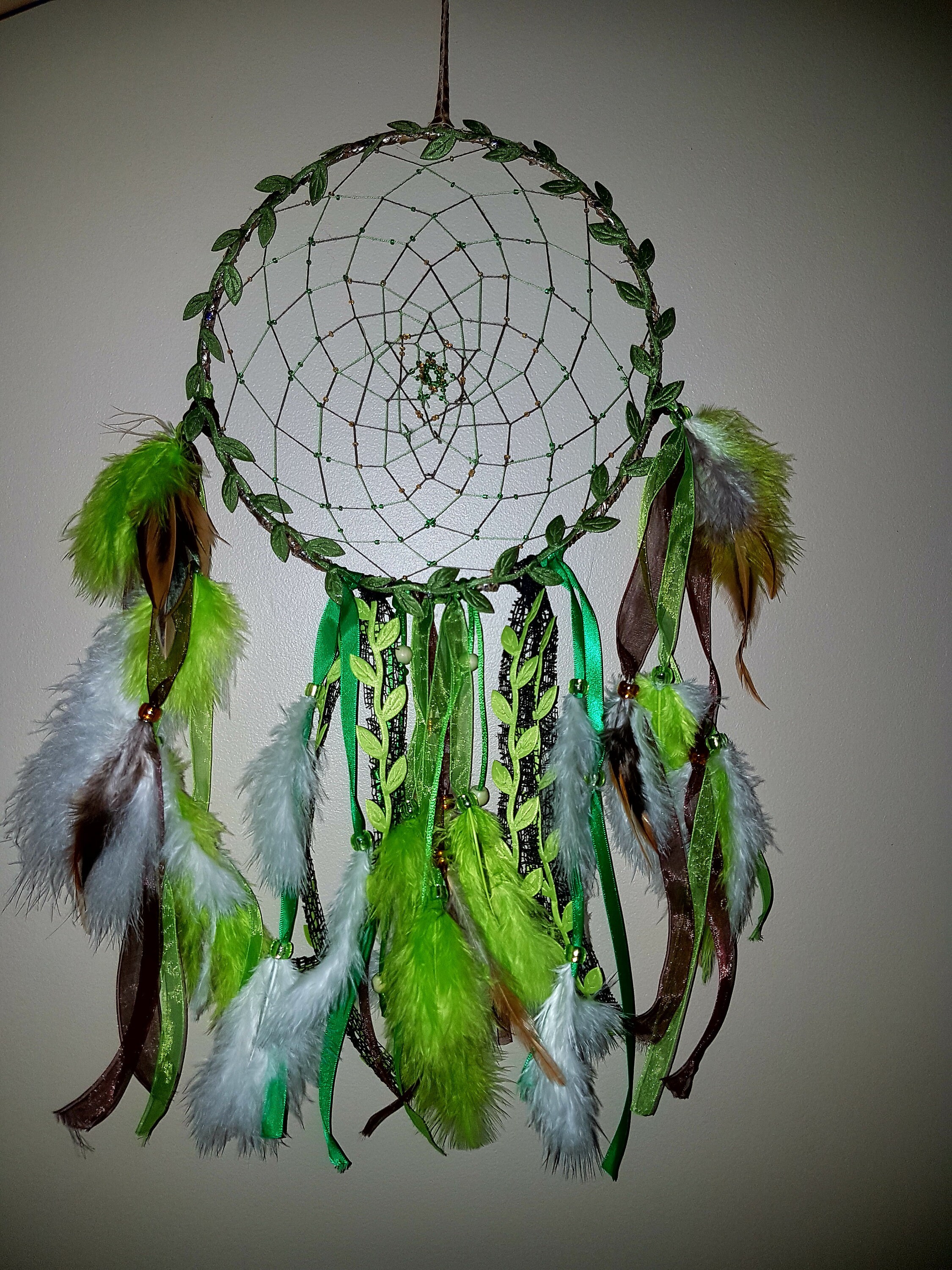 Dreamcatcher Nature