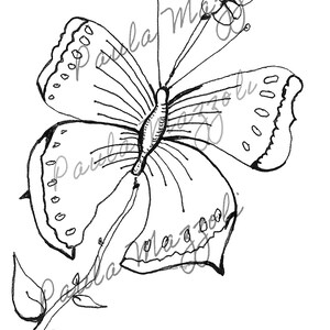 Butterfly Coloring Page