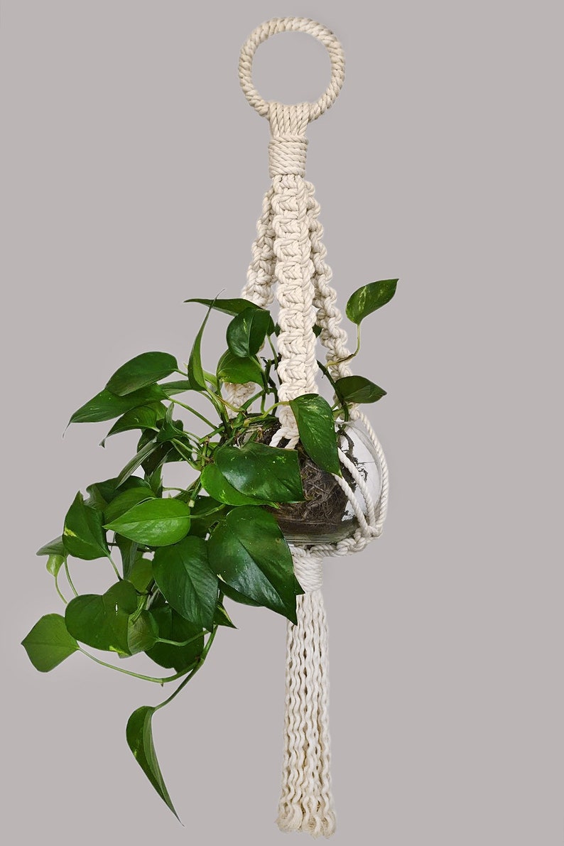 Macramé Plant Hanger image 1