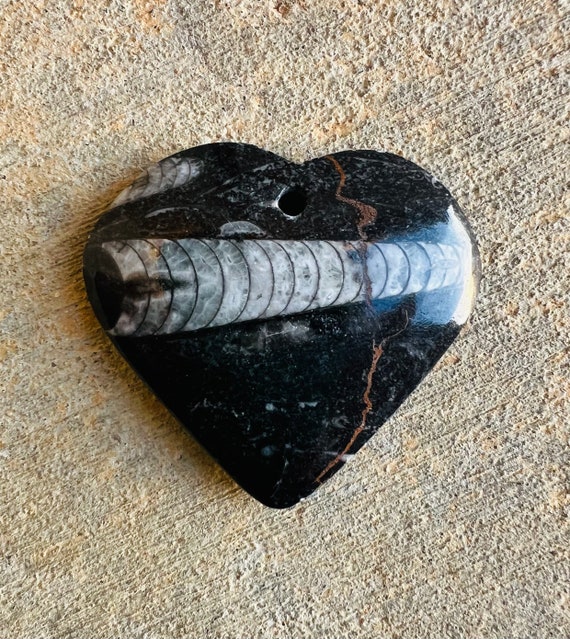 Orthoceras Fossil Heart Pendant -Reiki Infused