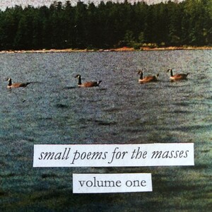 small poems for the masses, volume one image 1