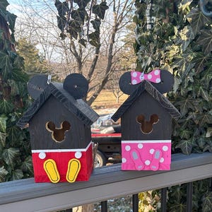 Casas para pájaros de Mickey y Minnie Mouse
