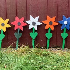 everlasting flowers