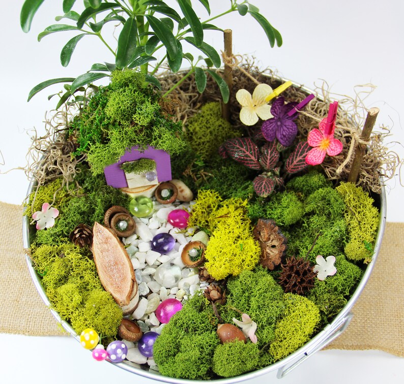 Fairy Garden Kit for Kids Fairy Garden Kit with Fairy House and Container