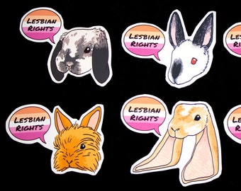 Lesbian Rights Sticker Set