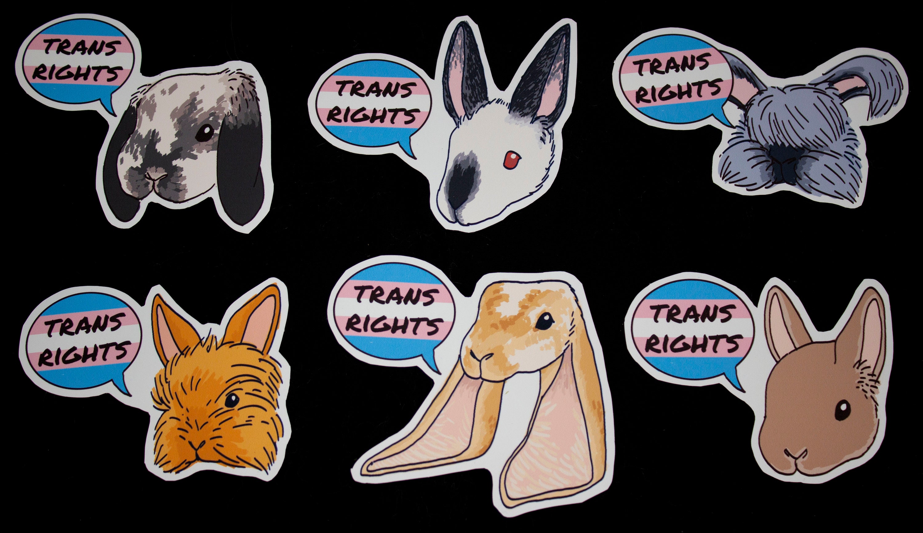 Trans Rights Sticker Transgender Rights Sticker Set - Etsy