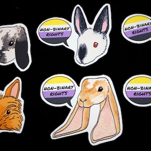 Puede incluir: Seis pegatinas coloridas con conejos de dibujos animados con el texto "Derechos no binarios" en un globo de diálogo. Los globos de diálogo son amarillos, morados y negros con un contorno blanco. Los conejos son de varios colores y tienen diferentes texturas de pelaje.
