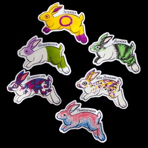 Puede incluir: Seis pegatinas de conejos coloridos con diferentes identidades de género. Las pegatinas presentan un conejo amarillo con el texto "Intersex", un conejo morado y verde con el texto "Genderqueer", un conejo rosa y azul con el texto "Genderfluid", un conejo blanco y verde con el texto "Agender", un conejo blanco y morado con el texto "No binario", y un conejo rosa y azul con el texto "Transgénero".