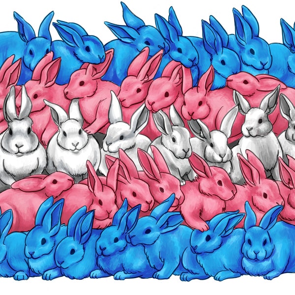 Tranes Rabbit Trans Bunny - Etsy