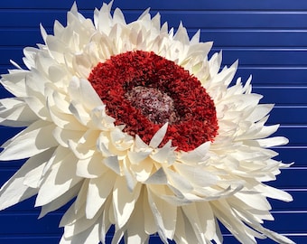 Helichrysum. Giant crepe paper flower