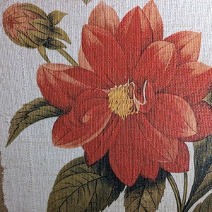 acrylicburlap canvas bright orange Mexican Sunflower Torch unsigned no frame 16 x 20 042