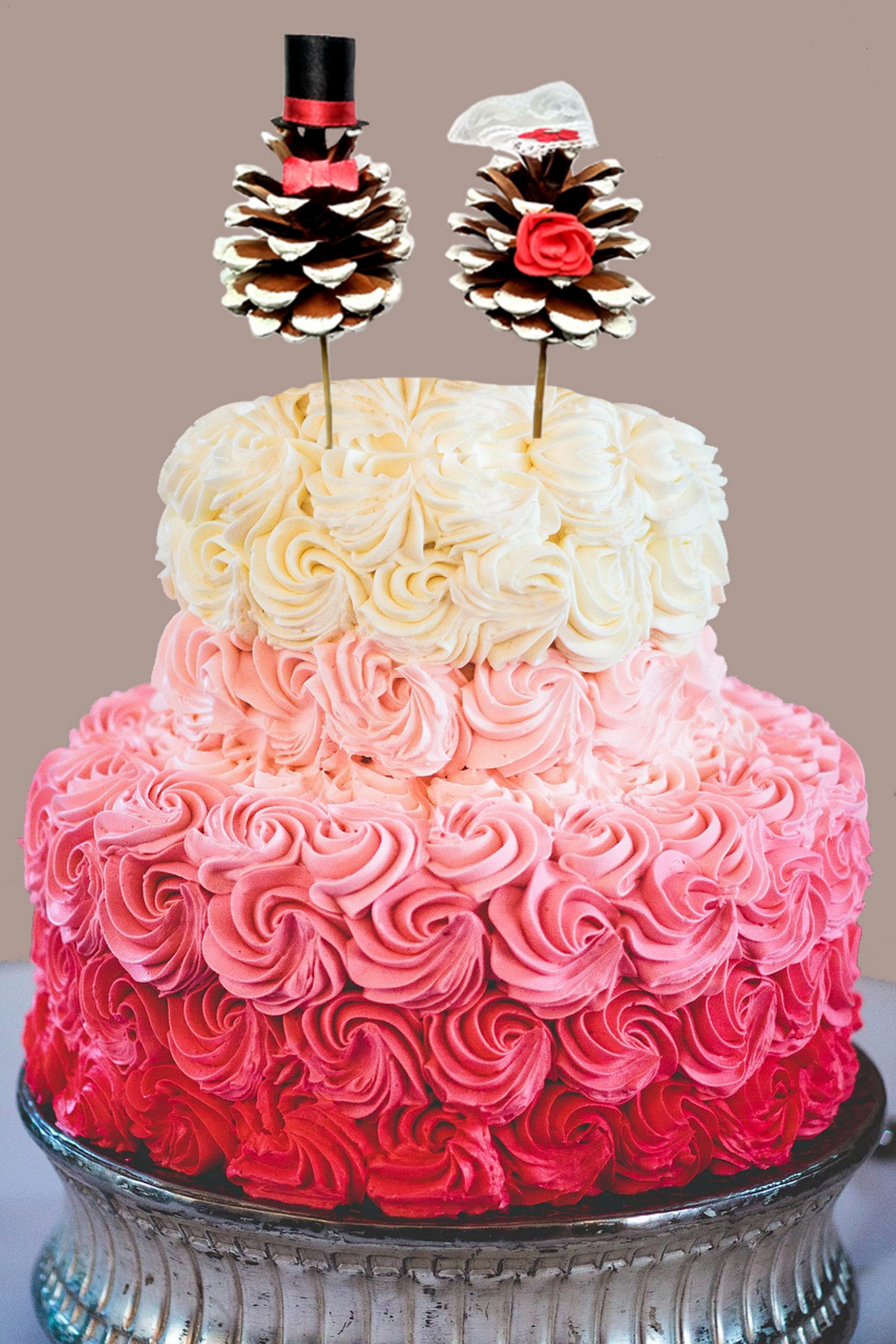 Wedding Pine Cone Cake Topper / Mr Mrs Topper / Bride Groom / Etsy