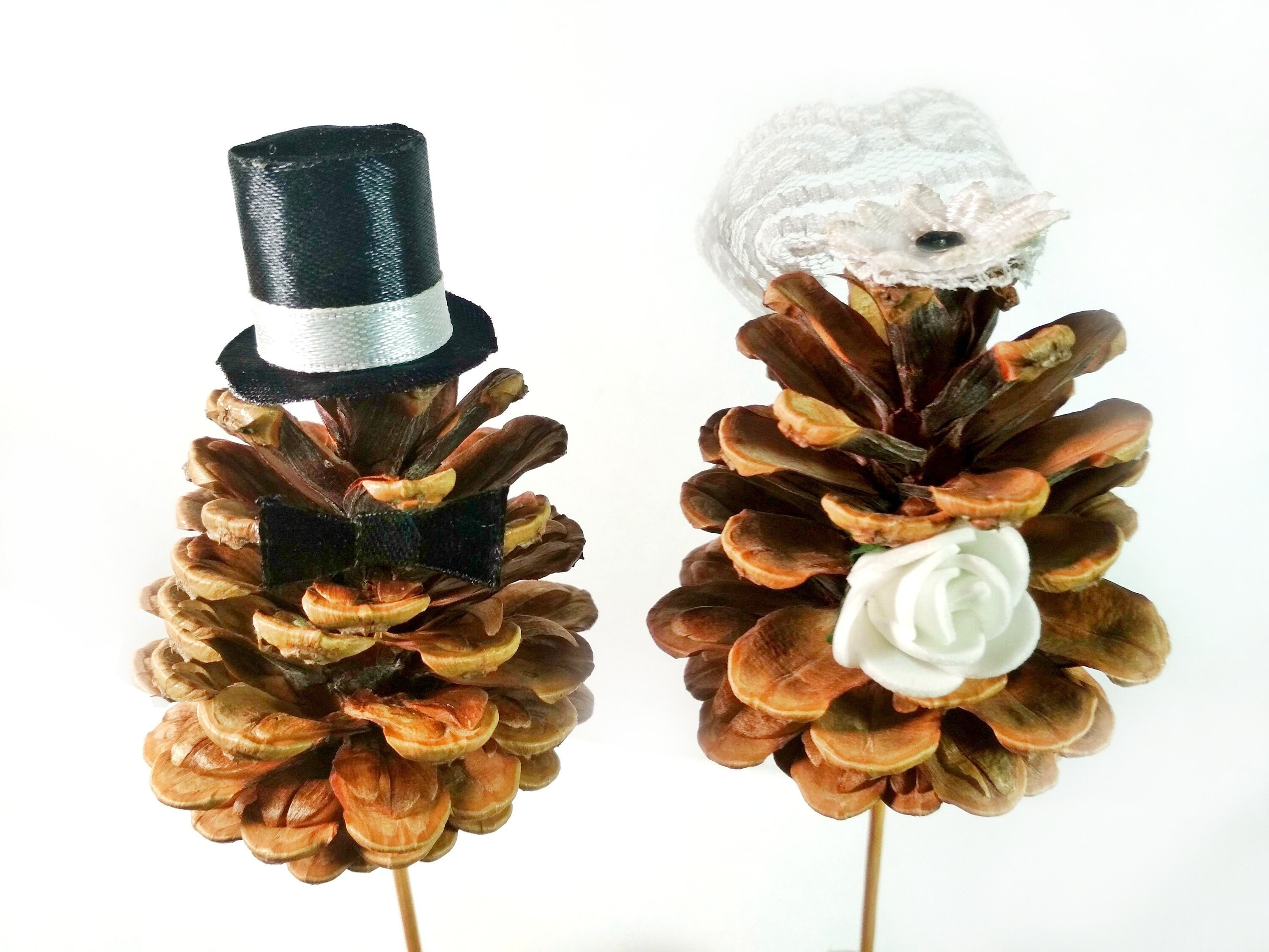 Wedding Pine Cone Cake Topper / Mr Mrs Topper / Bride and Etsy