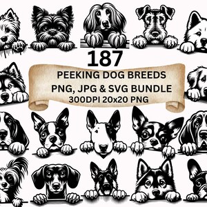 Bundle SVG chiens furtifs : 187 races de chiens Clipart, bouledogue, teckel, berger allemand, shih tzu et plus - téléchargement numérique png pour Cricut