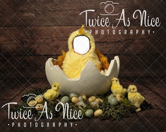 Yellow Chick Easter Face Insert Newborn Digital Backdrop, newborn digital background,  easter backdrop newborn,, digital prop template