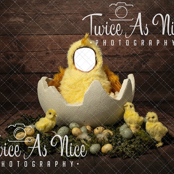 Yellow Chick Easter Face Insert Newborn Digital Backdrop, newborn digital background,  easter backdrop newborn,, digital prop template