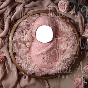 Toile de fond numérique pour nouveau-né, nouveau-né de fond Floraldigital, fond d&#39;insertion de visage pour nouveau-né, composite numérique pour nouveau-né, nid avec fleurs
