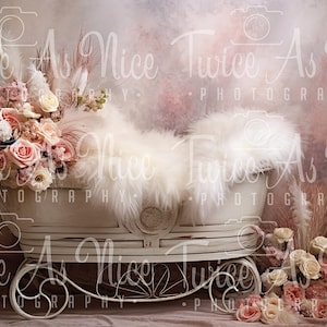 Newborn  Digital Backdrop,  digital background newborn, newborn, girl backdrop newborn, newborn digital composite digital, carriage, floral