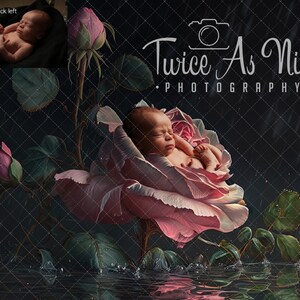 May include: A newborn baby sleeping inside a large pink rose, with water droplets falling around the rose. The background is a dark, textured surface with a watermark that says "Twice As Nice Photography".