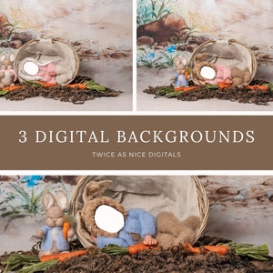 3 Newborn Digital Backdrop, Face insert newborn digital background, Easter digital backdrop newborn, newborn backdrop, digital prop