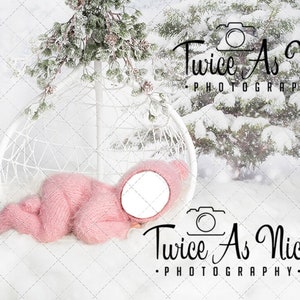 Christmas Digital Backdrop, newborn girl digital background, Newborn face insert digital background, newborn backdrop, baby head insert