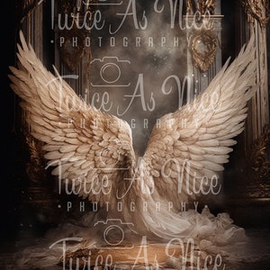 Maternity Digital Backdrop,  Pregnancy wings  backdrop, maternity Digital Background, angel wings digital overlay, pregnancy overlay