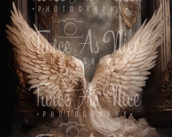 Maternity Digital Backdrop,  Pregnancy wings  backdrop, maternity Digital Background, angel wings digital overlay, pregnancy overlay