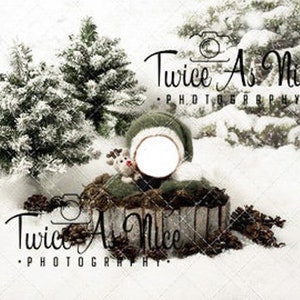 May include: A digital backdrop for newborn photography featuring a snowy winter scene with two pine trees, a wooden crate, pine cones, and a green and white Santa hat with a blank space for a baby's face. The text "Twice As Nice Photography" is displayed twice in the image.