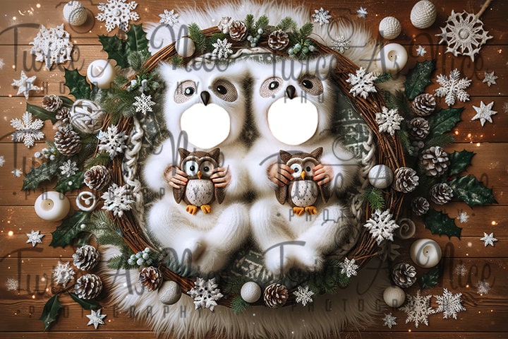 Newborn Christmas Twin Owl Face Insert Digital Backdrop - Festive Christmas Photography Background f