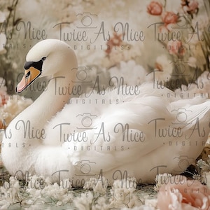 Newborn Digital Backdrop,  digital background newborn, digital, girl backdrop newborn, newborn digital composite digital,  swan and flowers