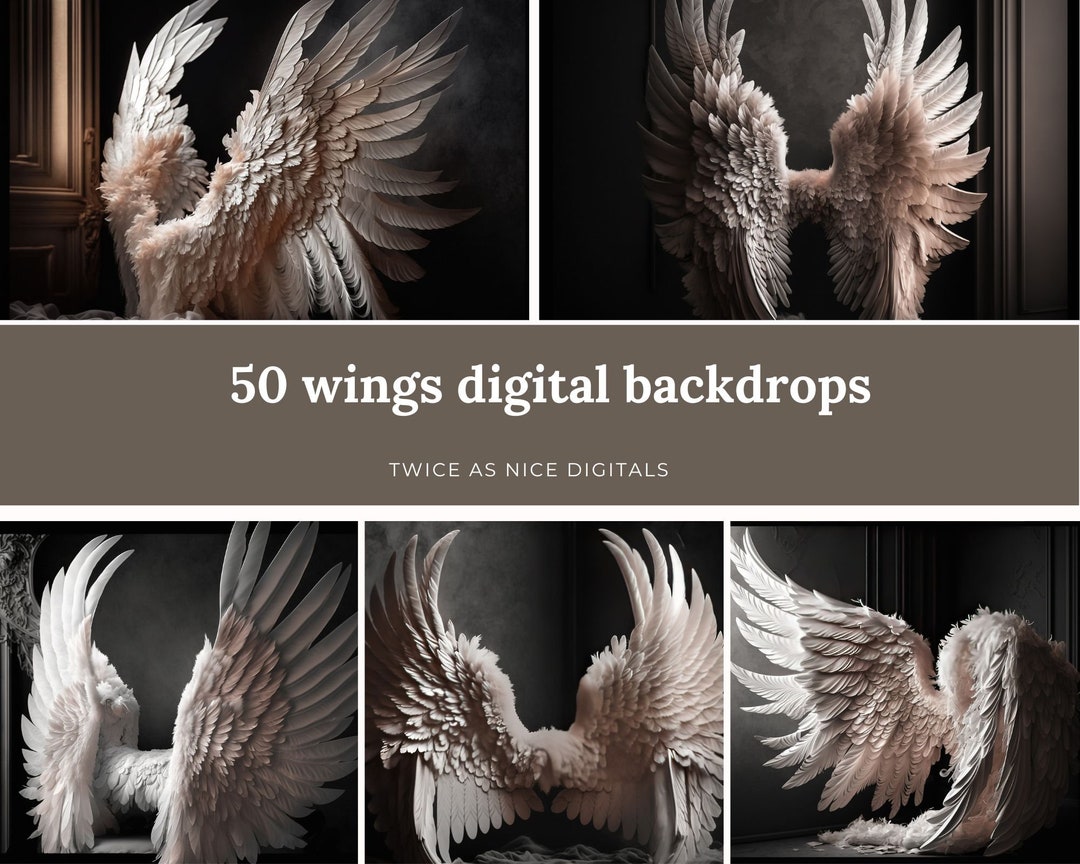 50 Angel Wings Maternity Digital Backdrops - 50 Majestic Angel Wings ...