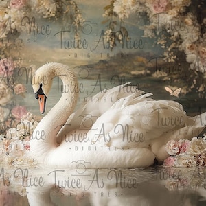Newborn Digital Backdrop,  digital background newborn, digital, girl backdrop newborn, newborn digital composite digital,  swan and flowers