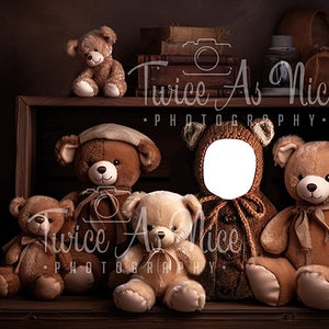 Puede incluir: Un grupo de osos de peluche marrones sentados en un estante de madera. Los osos están dispuestos en fila, con el oso más grande en el centro. Los osos tienen diferentes expresiones faciales y llevan diferentes atuendos. El estante está decorado con una caja de madera y una pila de libros. El texto "Twice As Nice Photography" es visible en el estante.