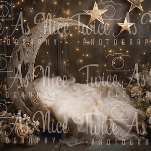 Newborn Digital Backdrop,  digital background newborn, digital, girl backdrop newborn, newborn digital composite digital, moon and flowers
