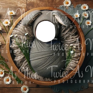 Cenário digital de Páscoa para recém-nascidos, fundo digital de coelho para recém-nascidos, cenário de coelho para recém-nascidos, adereço digital, modelo de sobreposição