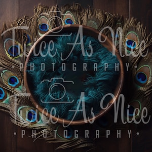 May include: A wooden bowl with a teal blue fuzzy lining sits on a dark wood background. The bowl is surrounded by peacock feathers with iridescent blue and green eyes.